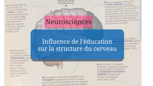 Influence de l’éducation sur la structure du cerveau